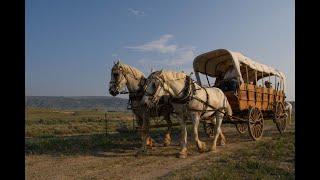 Weekend TV worth watching!  A full episode of Today's Wild West!