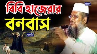 বিবি হাজেরার বনবাস। তোফাজ্জল হোসেন ভৈরবী । Tofazzal hossain bhairovi | bangla waz |