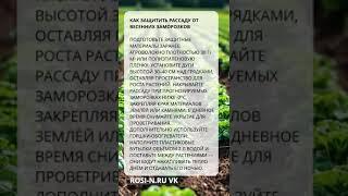 Как защитить рассаду от весенних заморозков  #садоводство #дача #наноудобрение  #агротехнологии
