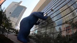 Giant Blue Bear of Denver Looks Into Convention Center