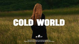 Afrobeat Instrumental 2025 x BurnaBoy ft Omah lay Type Beat "COLDWORLD" Emotional Afrobeat Type Beat