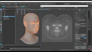 Head Basic UV Unwrap tutorial