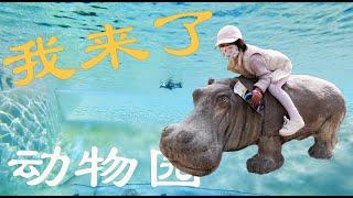 带娃儿游览多伦多动物园是种什么样的体验？｜Toronto Zoo 2020