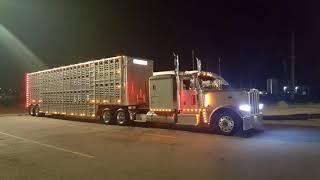 E cow truck