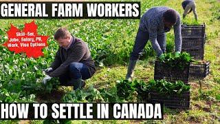 General Farm Workers OPTIONS FOR CANADA IMMIGRATION | STUDY, WORK & PR DETAILS