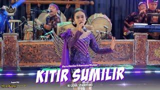 KITIR SUMILIR - Rere Renita - Kencana Wungu Campursari (Live PadSKi)