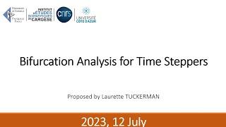 Bifurcation Analysis for Time Steppers | Laurette Tuckerman