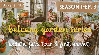 ‍Vegetable Garden in My SMALL BALCONY | First Harvest, Tour & Fails | CONTAINER GARDEN S1 PART 3