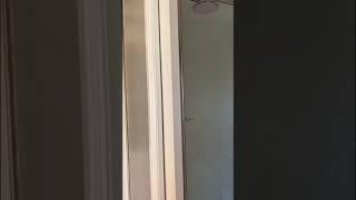 Renovation project in Hunters Hill Sydney