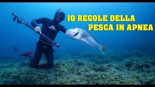 The first 10 rules of spearfishing [MICHELE GIURGOLA]