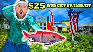 $25 BUDGET Swimbait Catches BIG BASS!