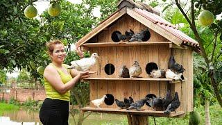 New Beginnings: Daughter's Return and Building Pigeon Farm | Free New Life