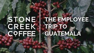 Stone Creek Coffee's Employee Trip to Origin