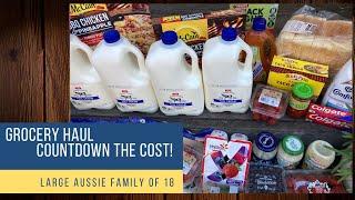 GROCERY HAUL Counting Down the Cost! - Mum of 16 KiDS