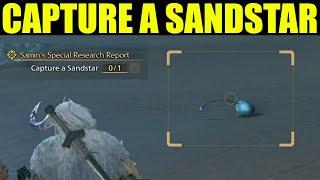 How to Capture a sandstar Monster hunter wilds (Standstar Location) Samin's Special Research Report