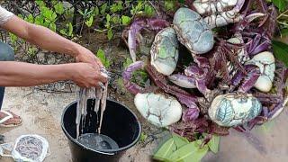 TIRAMOS TURU E CARANGUEJO PRO ALMOÇO! EM MAIS UMA AVENTURA TOP