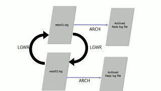 Running Oracle database in Archive log mode.