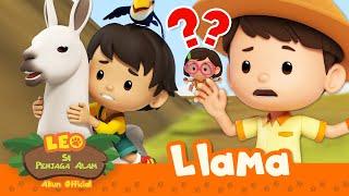 Menunggangi LLAMA di GUNUNG YANG BERBAHAYA?!  | 30 MENIT | Leo Si Penjaga Alam | Kartun Anak-anak