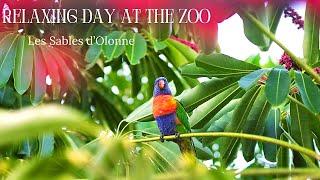 A FUN DAY at the ZOO | Reason why I was absent from Youtube | Les Sables d'Olonne, France