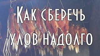  Как сохранить улов ( рыбу ) надолго Сохранение свежести, вакууматор