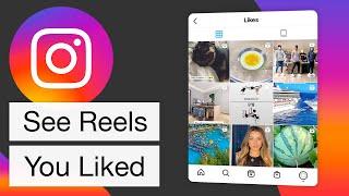 How to See Instagram Reels You Liked (Reels Watch History)