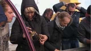 Waddenacademie thema Economie culinaire waddentocht NL HD.mov