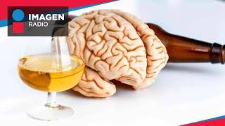 ¿Qué pasa en el cerebro con el consumo de alcohol?