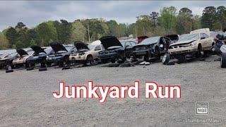 Junkyard Run!