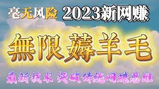 2023网赚项目|最新网络赚钱|灰色黑色项目|黑产 毫无风险|五分钟薅羊毛赚到102$（可以无限循环操作）