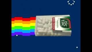 Nyan Cat meets Tic Tac - "Nyan Tac"