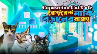 Capawcino Cat Cafe  | বিড়ালের রাজ্যে খাওয়া দাওয়া | First ever Cat Cafe in Bangladesh ‍⬛