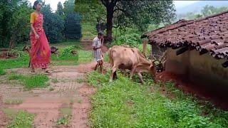 Life in Indian Village ,Vlog of village life  || Indian traditional Village Life   @Jacikujurkvideo
