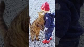 Funny animals 2023 - Funniest Cats and Dogs Video212 #shorts