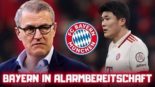 Ungewöhnliche Entscheidung beim Bayern – Fans reagieren! FC BAYERN MÜNCHEN