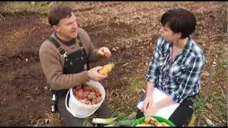 Sustainable Living - Shaw TV Nanaimo