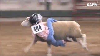 Competencia de niños montando ovejas en Iowa USA- Competition children riding sheep.