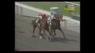MATCH RACE - Quarter Horse -vs- Thoroughbred