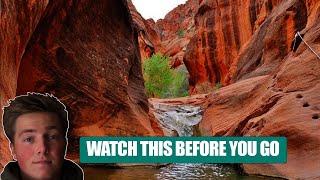 Saint George Utah/ Red Reef Trail! WATCH THIS BEFORE YOU HIKE | THE PERFECT FAMILY TRAIL! |