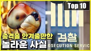 우리가 대부분 모르는 충격을 줄 수 있는 의외의 사실 Top 10