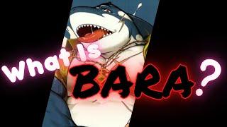 What is Bara?