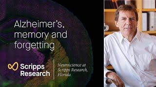 Alzheimer’s, memory and forgetting: neuroscience at Scripps Research, Florida