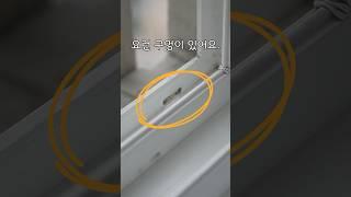 여름에 이거 꼭 하세요! 창으로 들어오는 벌레 완벽 차단 방법