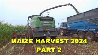 MAIZE HARVEST 2024 PART 2