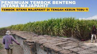 VIRAL !!! WARGA MENEMUKAN TEMBOK BENTENG ISTANA MAJAPAHIT DI TENGAH KEBUN TEBU ?!