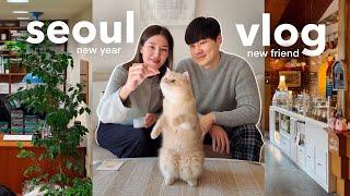 first seoul vlog of 2025  making a new cat friend  pet loss & grief, NYE with a dink couple