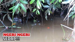 NGERI-NGERI sedap mancing di rawa Lampung #PR-154