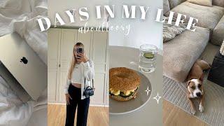 home office, Heimat besuchen, what i eat & Gym | DAYS IN MY LIFE
