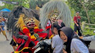 BARONGAN NGAMUK !! Arak Arakan Barongan Blora & Reog Ponorogo Sekar Gading Seto Live Bogorejo