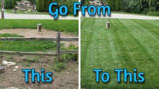 How to Kill and Seed Your Lawn From Start to Finish