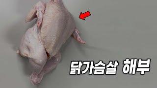 닭은 왜 가슴 근육이 많을까?? (날지도 못하면서..)